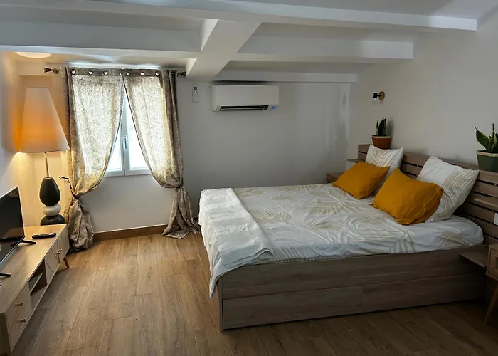 Le Citron Duplex Vielle A 2 Pas De La Piétonne